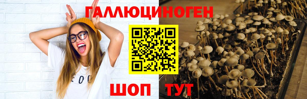 Великий Устюг  Псилоцибиновые грибы Magic Shrooms  закладки  Галлюциногенные грибы Cubensis  Вход с VPN 